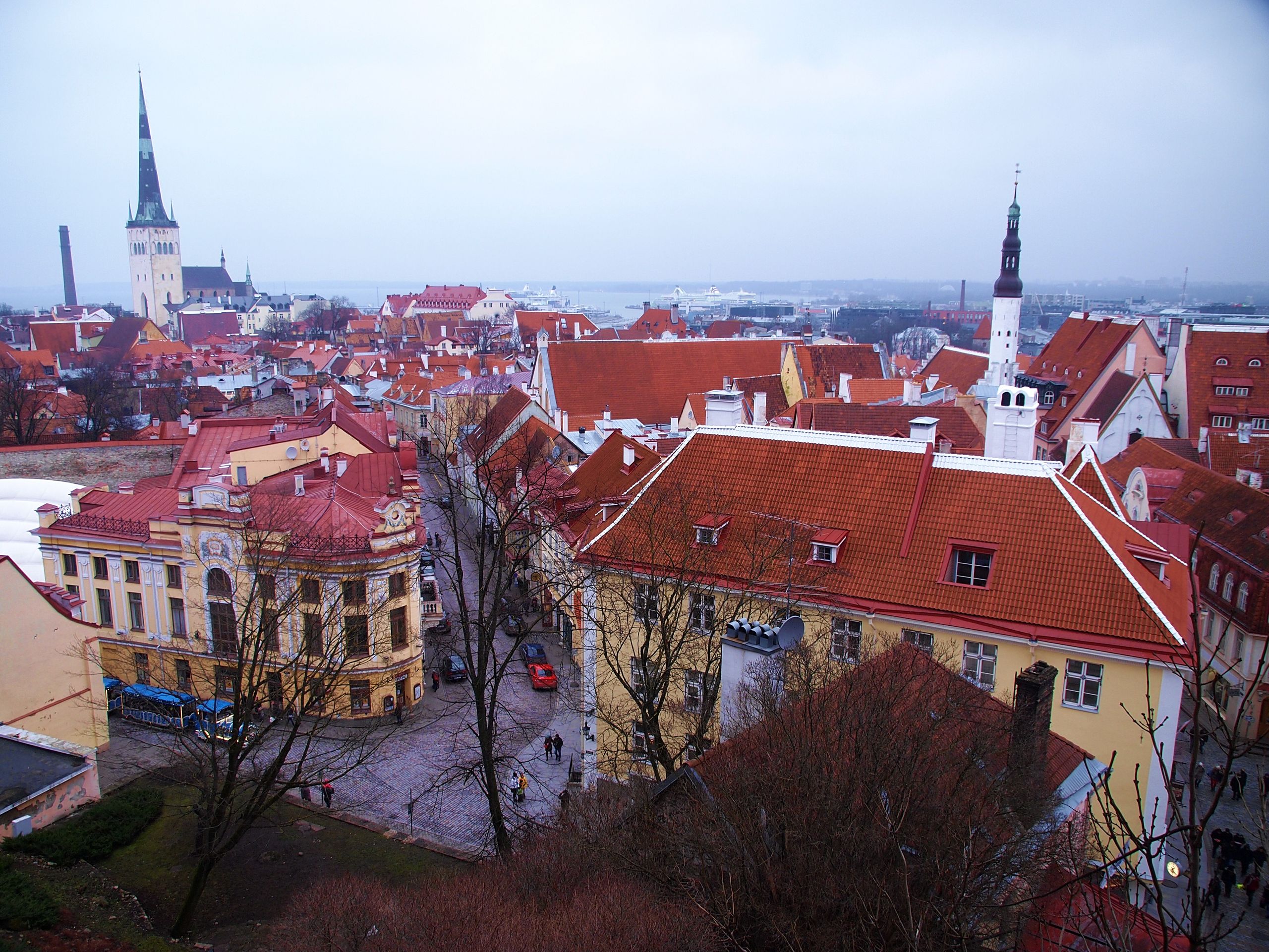 Tallinn, Estonia skyline